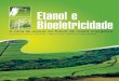 Etanol e bioeletricidade: A cana-de-açúcar na matriz energética 