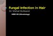 Fungal infection in hair