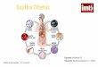 Sapta Dhatus - Os Sete Tecidos no Ayurveda por Verónica Silvestre