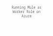 Running mule as worker role on azure