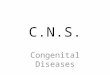 Diagnostic Imaging of Congenital Central Nervous System Diseases