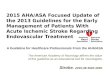 2015 AHA/ASA Focused Update Guidelines for Acute Ischemic Stroke Regarding Endovascular Treatment