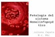Patología hemolinfatico