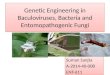 Genetic engineering in baculovirus, entomopathogenic fungi and bacteria