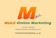 Mule Online Marketing HVAC PowerPoint