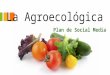 TP Final Plan de Social Media - La Agroecológica - Lucas Ricoy