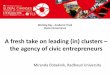 TCI 2016 A fresh take on leading (in) clusters – the agency of civic entrepreneurs
