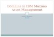 Domains in IBM Maximo Asset Management