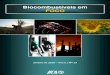 Biocombustíveis em FOCO - IICA