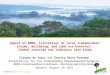 Impact of REDD+ initiatives on local stakeholders’ income, wellbeing, and land use behavior: Global overview and Indonesia case study