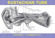 Eustachian tube final PP ANATOMY,EMBRYOLOGY,FUNCTIONS,DYSFUNCTIONS TREATMENT,PATULOUS ET