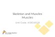 Skeletal system muscles (pearson)