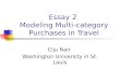Essay 2 Multicategory purchase in travel