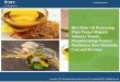 Rice Bran Oil Market - Strong Growth and Demand in Food & Cosmetics Industry