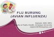 BAB 12 Epidemiologi Penyakit Menular Flu burung