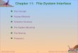 Ch11: File System Interface