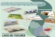 Plano de Desenvolvimento Regional Sustentável do Lago de Tucuruí