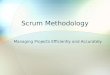 Scrum Methodology: Managing Project Efficiently and Accurately