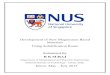 NUS Internship Report (2013)_ R K SURAJ