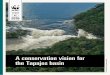 A conservation vision for the Tapajos basin