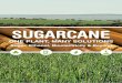 UNICA's Institutional Folder: Sugar, Ethanol, Bioelectricity & Beyond