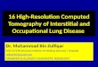 16 High Resolution Computed Tomography of Interstitial and Occupational Lung Diseases