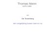 Thomas Mann en De Toverberg : een vergelijking tussen toen en nu