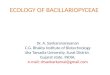 Ecology bacillariophyceae