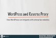 Reverse proxy and WordPress