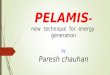 PELAMIS-ppt 1