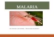 Malaria ;symptoms, causes, diagnosis and managment ppt