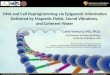 Dr. Carlo Ventura - DNA and Cell reprogramming