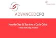 Advanced CFO |  How To See And Survive A Cash Crisis