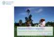 Adaptation Sector Integration: Perspectives from the agriculture and land-use sectors in Asia