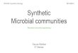 Synthetic microbial communities : Microbial consortia engineering