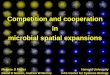 Competition and cooperation in spatial expansion of yeast colonies