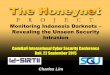 Monitoring indonesia darknets - Revealing the unseen security intrusion