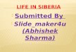 Life in siberia