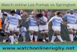 2015 los pumas vs springbok live rugby