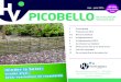 Picobello voorjaar 2016