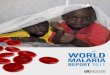 World Malaria Report 2011