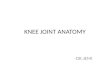Knee joint anatomy final ppt