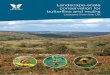Landscape-scale conservation for butterflies and moths: lessons 
