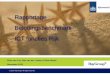 Beloningsbenchmark ICT-functies Rijk' PDF document