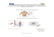 Fisiologia del sistema nervioso, sistema nervioso periferico pdf