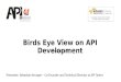 Birds Eye View on API Development - v1.0
