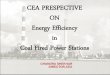Cea’s perspective on_energy_efficiency_in_thermal_power_generation_cea