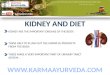 Diet chart for kidney patients-kidney problems-Kidney Treatment in india
