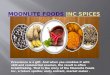 Moonlite foods inc and spices