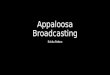 Appaloosa Broadcasting